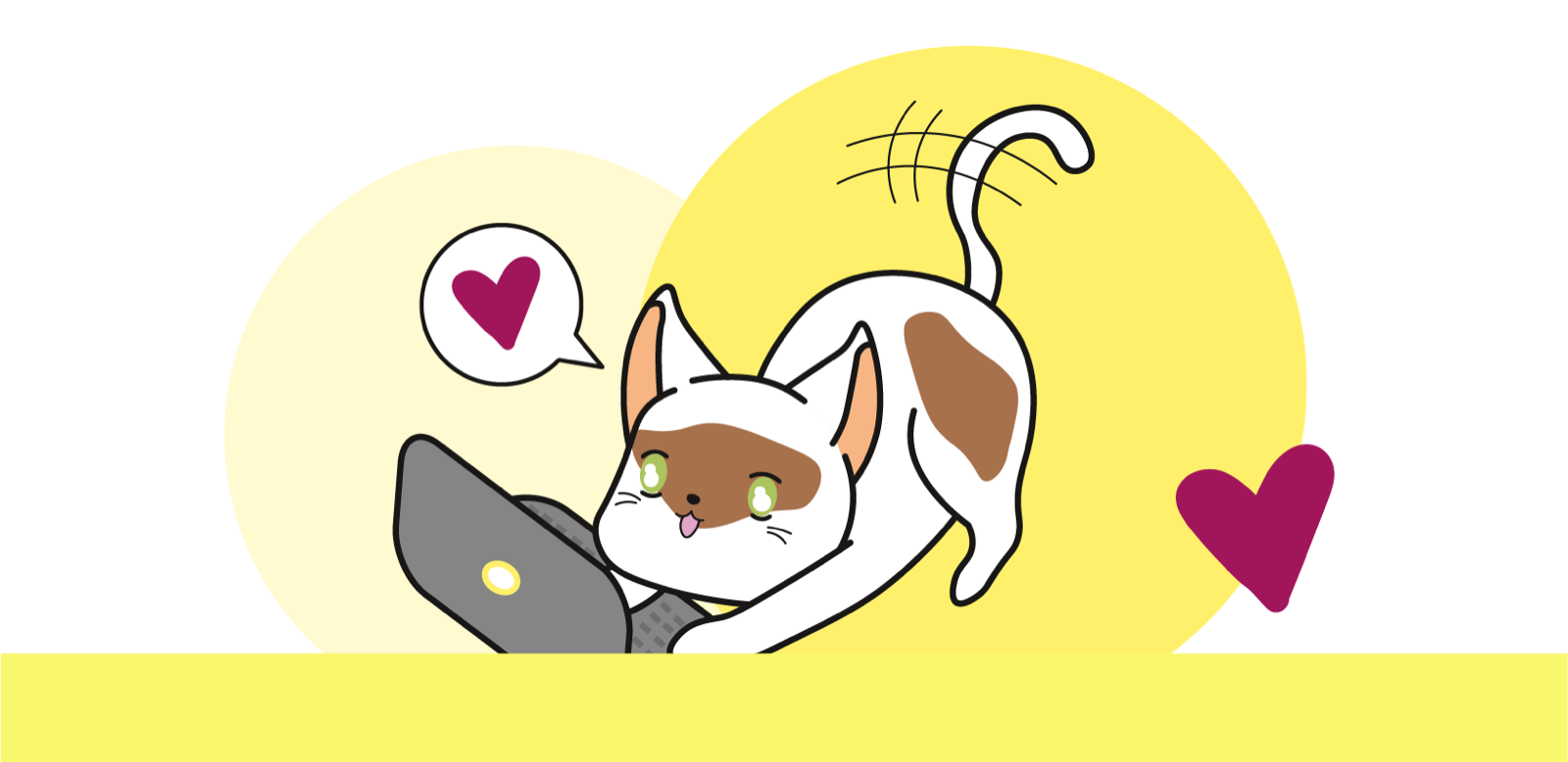 Cat playing with a laptop