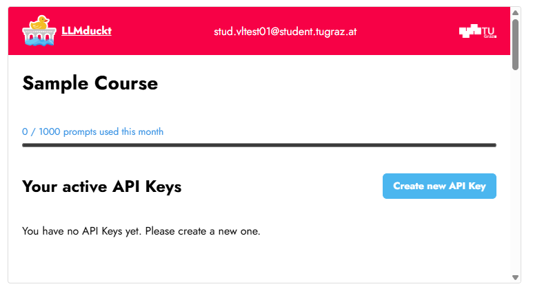 Übersicht der verbrauchten Prompts und aktiven API Keys (keine) im Kurs