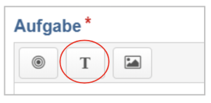 Screenshot des Aufgabe-Menüs, der Button für das Einfügen von Text ist markiert