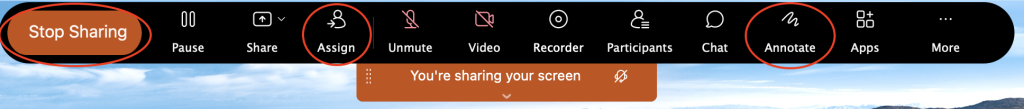 Screenshot of the menu bar at the top of the screen that you see while sharing your screen. The buttons stop sharing, assign and annotate are highlighted.