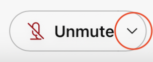 Screenshot of the "Unmute" button