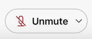 Screenshot of the "Unmute" button