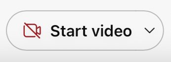 Screenshot of the "Start video" button