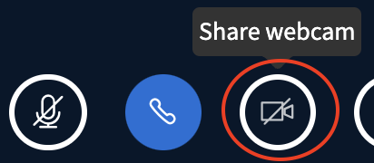 Screenshot of the "Share webcam" button