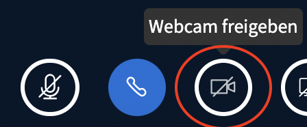 Screenshot des Buttons "Webcam freigeben"