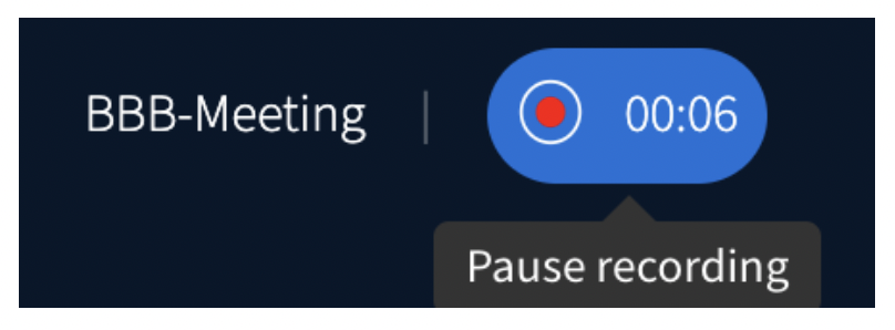 Screenshot of a running recording that can be paused by clicking on the recording button again