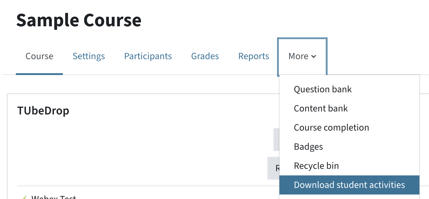 From the main menu, More - Download student activities is selected