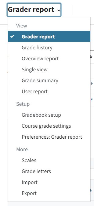 This is the dropdown menu in the main menu bar Grades. Grader report is selected by default. Next to Grader report, there is an arrow and then the dropdown menu unfolds.