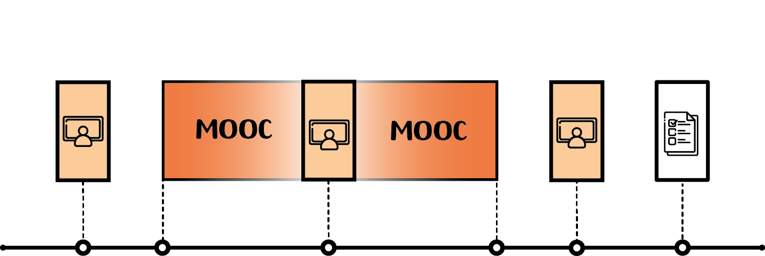 Type 4: The Blended MOOC