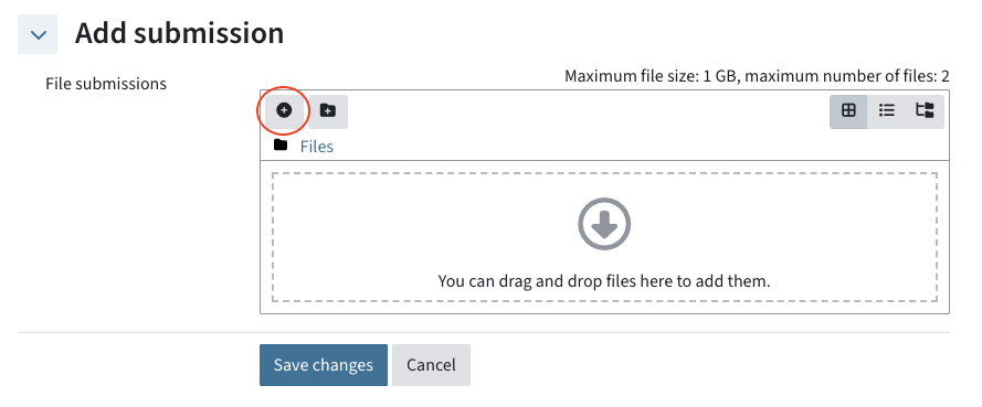 View where you can upload a files. The plus icon is highlighted
