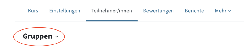 Im Hauptmenü ist Teilnehmer/innen ausgewählt, dann im Dropdown-Menü Gruppen