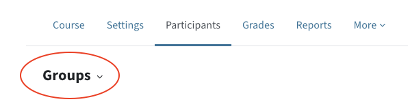 dropdown menu in the participants tab