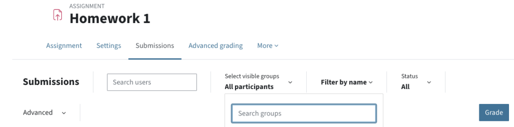 Screenshot of an assignment with visible groups enabled, including a dropdown to filter by group