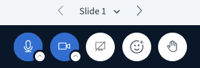 Five buttons for audio, video, screen sharing, reactions, raise hand