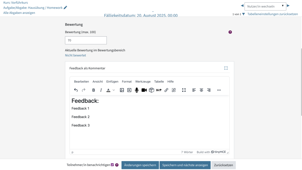 Bewertungsansicht, wo Punkte, Kommentare und Feedbackdateien eingetragen werden