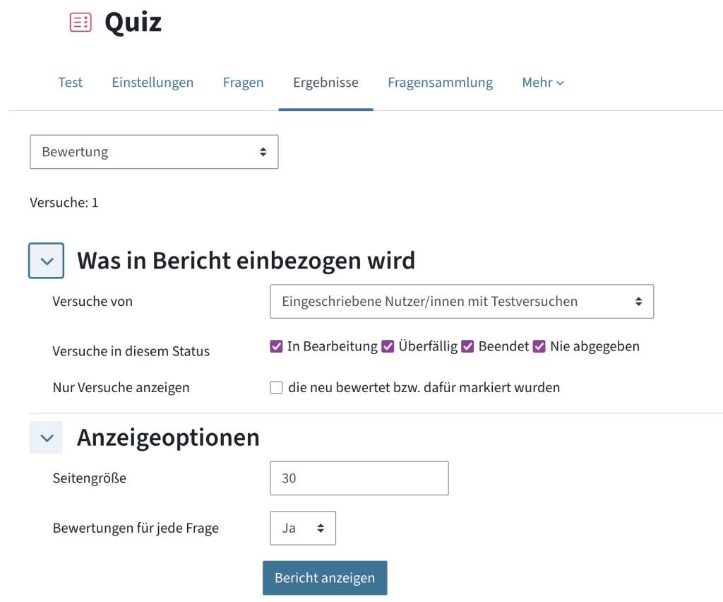 Auswahl, was in Bericht einbezogen werden soll und wie der Bericht angezeigt werden soll