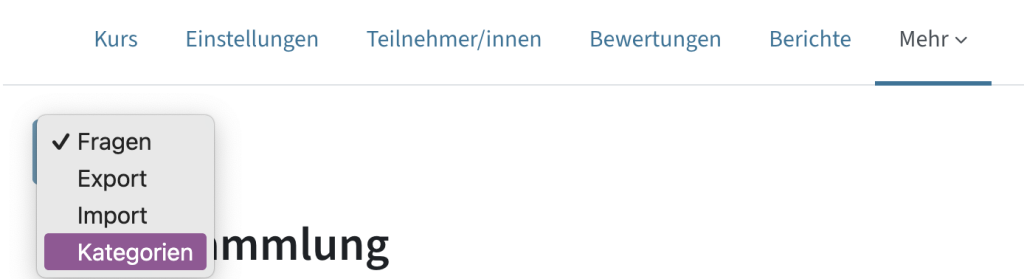 Unter Mehr - Fragensammlung im Dropdown eine Kategorie anlegen