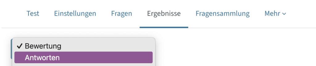 Unter Ergebnisse - Antworten im Dropdownmenü kann man alle Fragen und Antworten anzeigen lassen