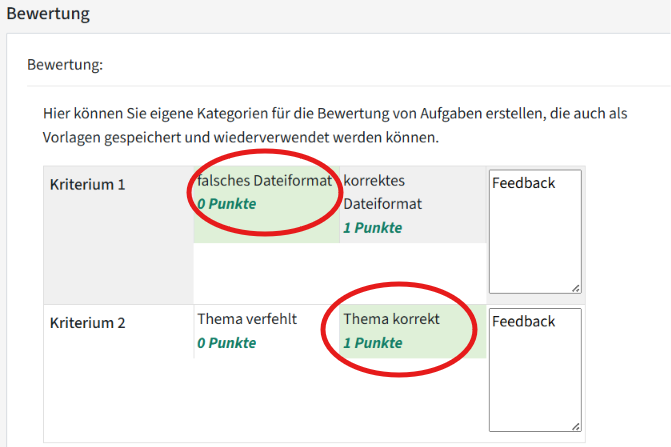 Es sind zwei Kriterien untereinander dargestellt. Eingekreist sind zweimal die Punkte, die pro Kriterium vergeben werden. Einmal 0 Punkte und darunter 1 Punkt.