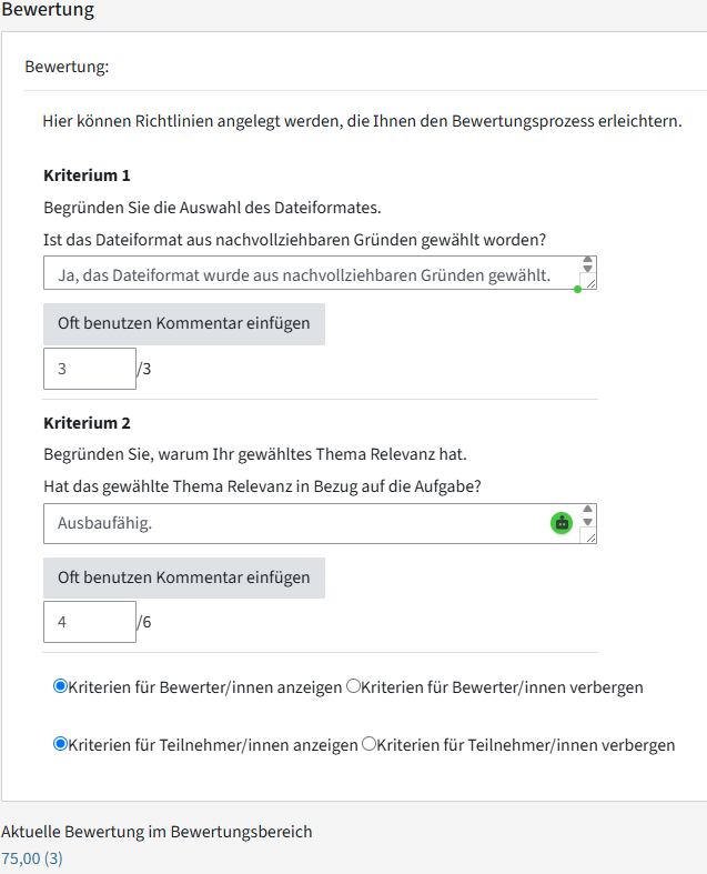 Es werden Kriterien-Felder untereinander dargestellt. Unter den einzelnen Kriterien gibt es die Möglichkeit, einen manuellen Kommentar oder einen zuvor angelegten Kommentar einzufügen. Darunter können in einem weiteren Feld innerhalb eines Kriteriums noch Punkte vergeben werden.