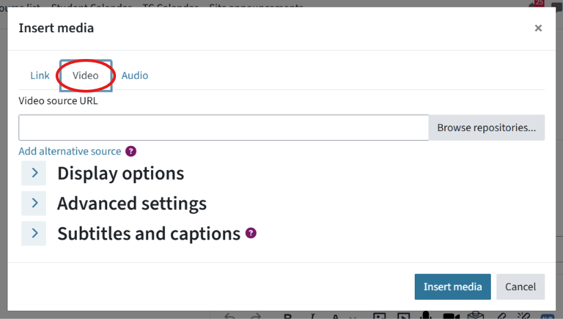 The ‘Insert Media’ window appears. The ‘Video’ tab is circled.