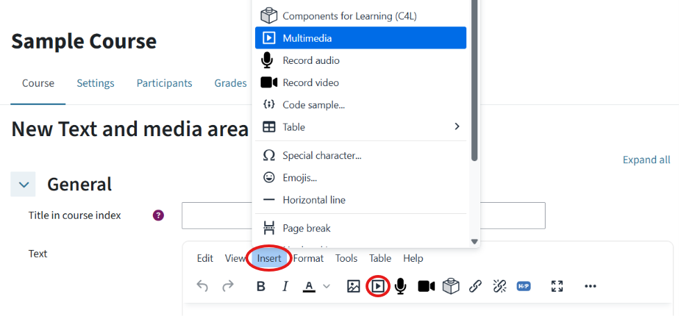 This is a text and media area. In the text editor, the ‘Insert’ drop-down menu is open. The multimedia button is highlighted.